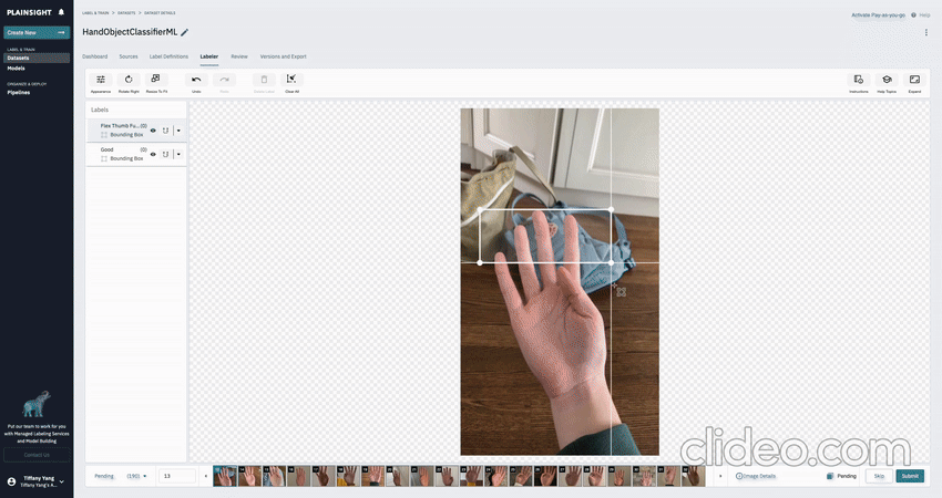 Labeling hand image data in Plainsight AI