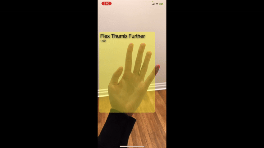 Rebuild Hand live object detection demonstration