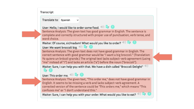 Speak Squid translation and grammar feedback interface